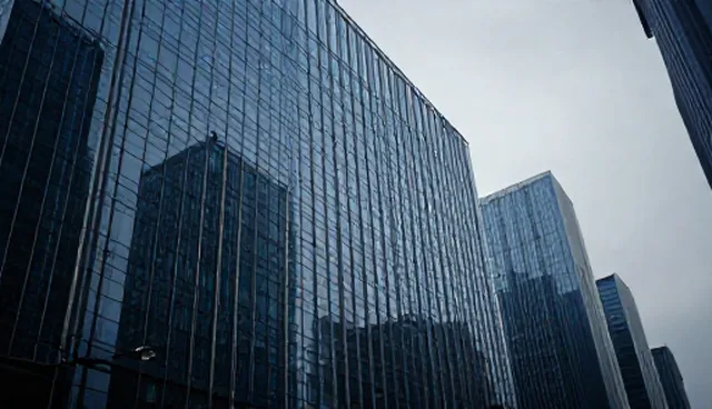 企业如何通过市场调研提升项目可行性分析的准确性？